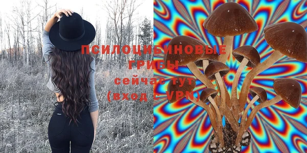 крисы Рославль
